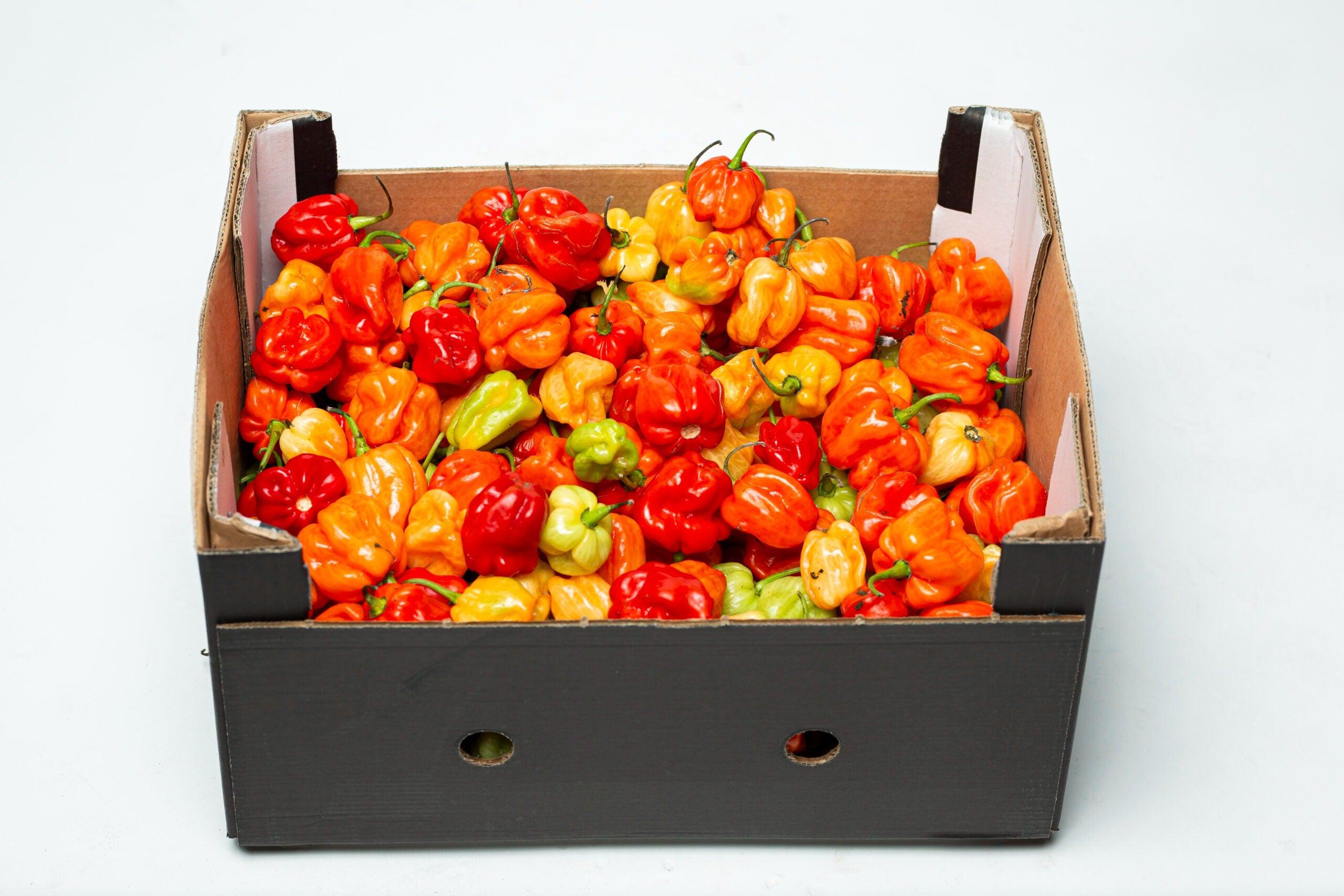 Scotch Bonnet Ugandan Box-SurulereFoods